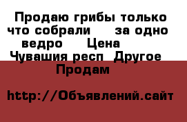 Продаю грибы только что собрали. 350за одно  ведро.  › Цена ­ 350 - Чувашия респ. Другое » Продам   